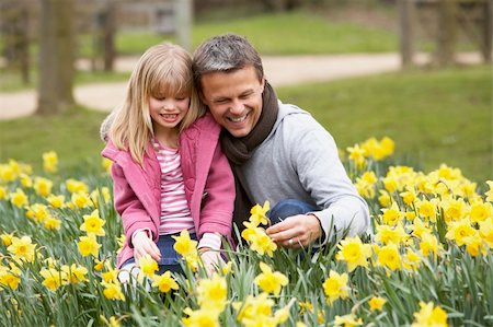 field of daffodil pictures - Father And Daughter In Daffodils Stock Photo - Budget Royalty-Free & Subscription, Code: 400-05354709
