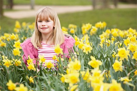 field of daffodil pictures - Young Girl Surrounded By Daffodils Stock Photo - Budget Royalty-Free & Subscription, Code: 400-05354710