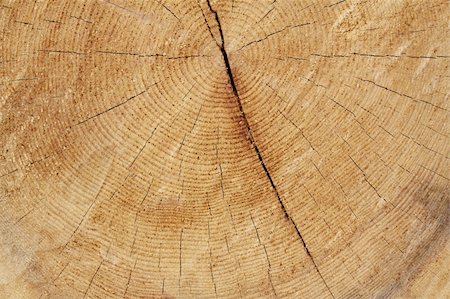simsearch:400-08110547,k - Cracked wooden background, natural surface Stock Photo - Budget Royalty-Free & Subscription, Code: 400-05355194