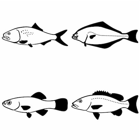 simsearch:400-05356119,k - Fish on white background Foto de stock - Super Valor sin royalties y Suscripción, Código: 400-05355475