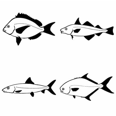 simsearch:400-05356119,k - Fish on white background Foto de stock - Super Valor sin royalties y Suscripción, Código: 400-05355470