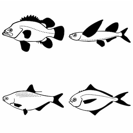 simsearch:400-05356119,k - Fish on white background Foto de stock - Super Valor sin royalties y Suscripción, Código: 400-05355471