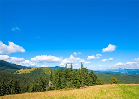 softwood - Summer mountain glade view (Carpathian, Ukraine) Stock Photo - Budget Royalty-Free & Subscription, Code: 400-05355966