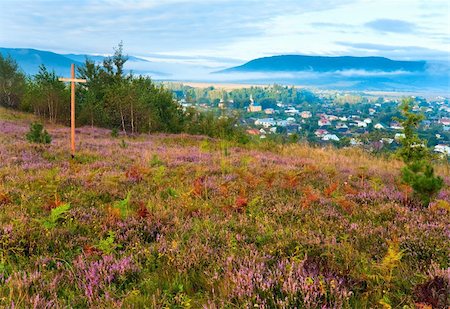 simsearch:400-04306537,k - Summer heather flower hill, misty morning country view behind, and wooden crosses (Lviv Oblast, Ukraine). Stock Photo - Budget Royalty-Free & Subscription, Code: 400-05355971