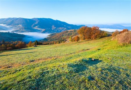 simsearch:400-05730615,k - Autumn misty morning mountain hill (Carpathian Mt's, Ukraine). Fotografie stock - Microstock e Abbonamento, Codice: 400-05355987