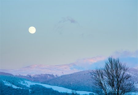 simsearch:400-04319458,k - winter sunset mountain landscape with rime and snow covered forest and Moon on sky (Carpathian, Ukraine) Stock Photo - Budget Royalty-Free & Subscription, Code: 400-05355998