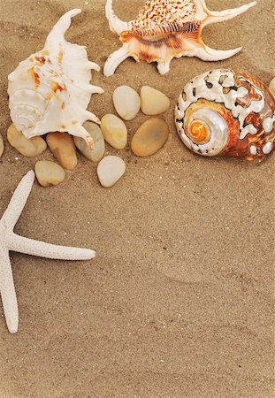 summer beach sea backgrounds - shells and stones on sand Stock Photo - Budget Royalty-Free & Subscription, Code: 400-05357028