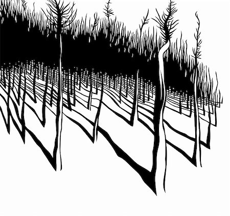 pine abstract - Forest, black and white vector illustration. Stock Photo - Budget Royalty-Free & Subscription, Code: 400-05358271