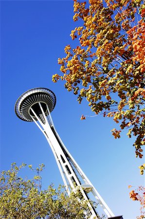The seattle space needle in the autumn, against a clear blue sky Stock Photo - Budget Royalty-Free & Subscription, Code: 400-05358736