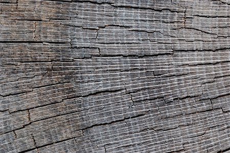 simsearch:400-04912140,k - close up of a torn wood from a bole Stock Photo - Budget Royalty-Free & Subscription, Code: 400-05358815