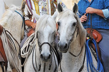 three camargue horses with gauchos in Arles, Languedoc Roussillon, France Foto de stock - Super Valor sin royalties y Suscripción, Código: 400-05351802