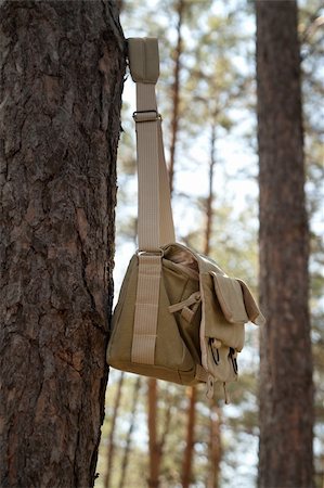 Shoulder bag hanging on pine tree Stock Photo - Budget Royalty-Free & Subscription, Code: 400-05352598