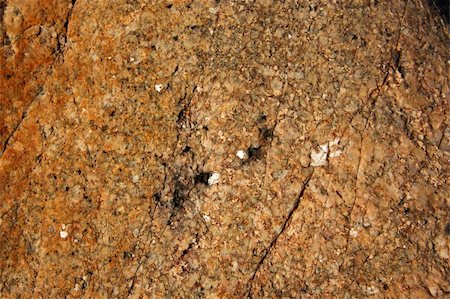 roxxer (artist) - Textured granite background. Pattern with uneven surface, cracks, spots. Photographie de stock - Aubaine LD & Abonnement, Code: 400-05352973