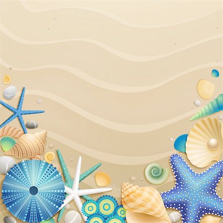 echinoderma - Shells and starfishes on sand background. Vector illustration. Fotografie stock - Microstock e Abbonamento, Codice: 400-05353084