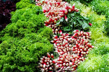 Big assortment of fresh organically grown salads Foto de stock - Super Valor sin royalties y Suscripción, Código: 400-05353406