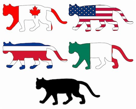 felis concolor - Cougar flags Stock Photo - Budget Royalty-Free & Subscription, Code: 400-05364009