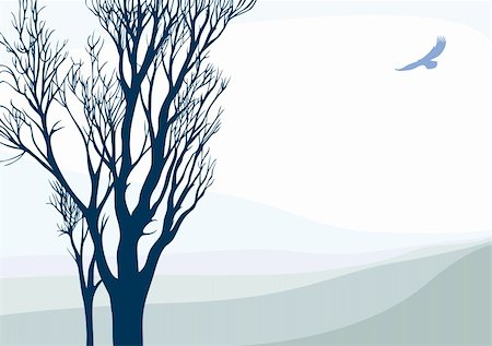 Tranquil landscape with flying eagle and tree. Vector illustration. Stock Photo - Budget Royalty-Free & Subscription, Code: 400-05364532