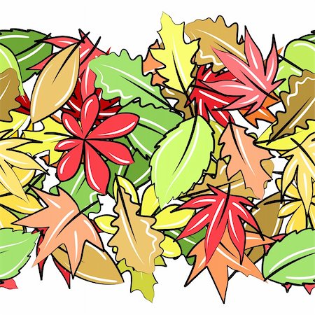drawn images of maple leaves - Seamless horizontal border with autumn leaves on white Stock Photo - Budget Royalty-Free & Subscription, Code: 400-05364559