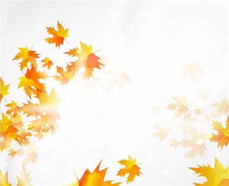 Orange leaves. Vector illustration for your design Stock Photo - Budget Royalty-Free & Subscription, Code: 400-05364793