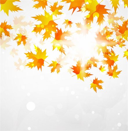 Orange leaves. Vector illustration for your design Stock Photo - Budget Royalty-Free & Subscription, Code: 400-05364804