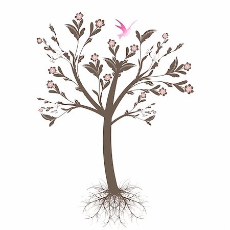 Beautiful art tree with roots isolated on white background Stock Photo - Budget Royalty-Free & Subscription, Code: 400-05365134