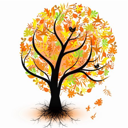 Colorful autumn tree isolated on white background Stock Photo - Budget Royalty-Free & Subscription, Code: 400-05365144