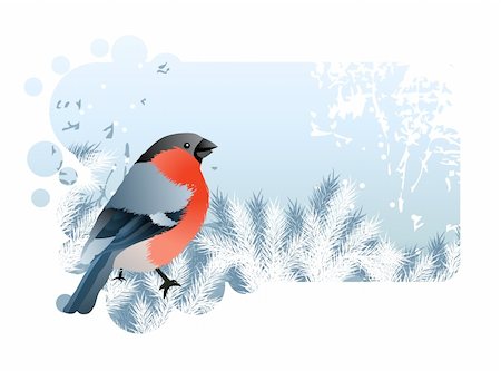 Blue Christmas frame with bullfinch sitting at branch Stock Photo - Budget Royalty-Free & Subscription, Code: 400-05365578