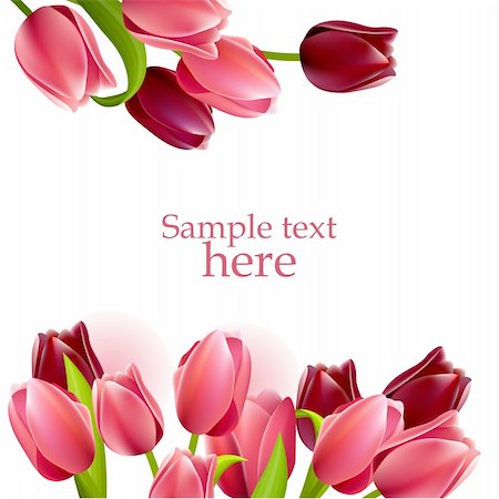 Floral beautiful frame with space for text with pink and red tulips Stock Photo - Budget Royalty-Free & Subscription, Code: 400-05366002