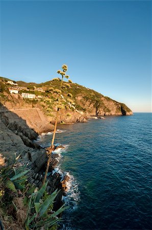 simsearch:400-05387791,k - Mountains at the sea side in Cinque Terre National Park, Italy Stock Photo - Budget Royalty-Free & Subscription, Code: 400-05366822