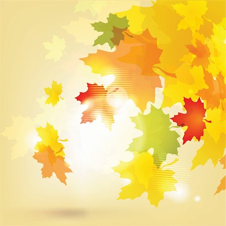 Autumn background with leaves and sun / eps10 Stock Photo - Budget Royalty-Free & Subscription, Code: 400-05367200