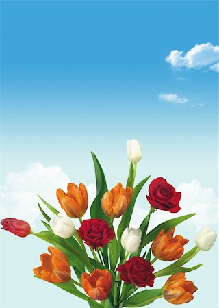 simsearch:400-04576781,k - Nice flowers for your spring design Photographie de stock - Aubaine LD & Abonnement, Code: 400-05367242