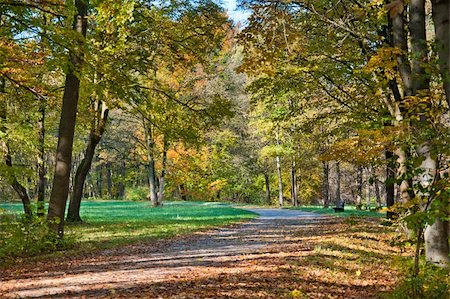 Beautiful peaceful walk in the autumn park Photographie de stock - Aubaine LD & Abonnement, Code: 400-05367367