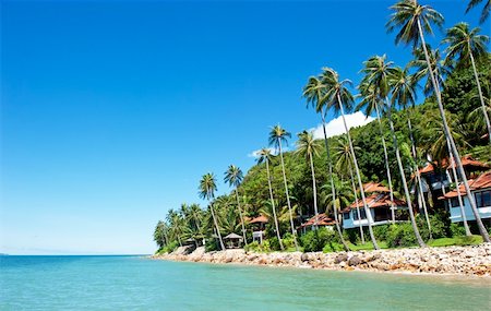 house with palm trees on the beach Foto de stock - Royalty-Free Super Valor e Assinatura, Número: 400-05367514