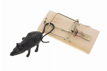 simsearch:400-03992981,k - Toy Rat and Mousetrap on White Background Stock Photo - Budget Royalty-Free & Subscription, Code: 400-05367639