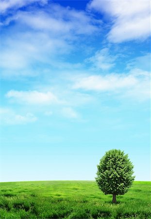 family outdoors and bright sun - Nice nature ornaments Stock Photo - Budget Royalty-Free & Subscription, Code: 400-05367758