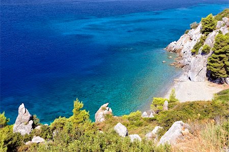 Clear sea water with stones and green tropical coastline Stock Photo - Budget Royalty-Free & Subscription, Code: 400-05367814