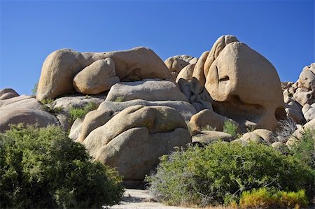 simsearch:400-04324243,k - Boulders in Joshua Tree National Park, California Stockbilder - Microstock & Abonnement, Bildnummer: 400-05368131