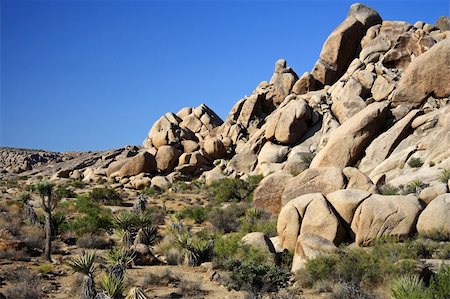 Boulders in Joshua Tree National Park, California Photographie de stock - Aubaine LD & Abonnement, Code: 400-05368132