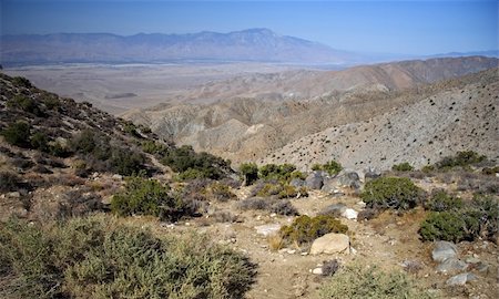 simsearch:400-04324243,k - Scenic Vista, Joshua Tree National Park, California Stockbilder - Microstock & Abonnement, Bildnummer: 400-05368169