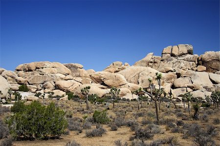 Boulders in Joshua Tree National Park, California Photographie de stock - Aubaine LD & Abonnement, Code: 400-05368237