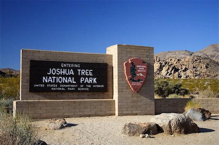 simsearch:400-04324243,k - Scenic Joshua Tree National Park in California Stockbilder - Microstock & Abonnement, Bildnummer: 400-05368231