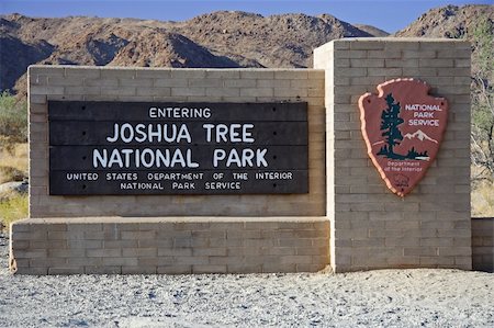 simsearch:400-04324243,k - Scenic Joshua Tree National Park in California Stockbilder - Microstock & Abonnement, Bildnummer: 400-05368233