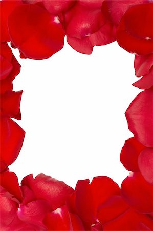 flower border design of rose - Frame from isolated red rose petals Stock Photo - Budget Royalty-Free & Subscription, Code: 400-05368845