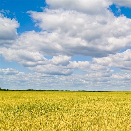 simsearch:400-04738350,k - beautiful landscape with blue sky and white clouds Photographie de stock - Aubaine LD & Abonnement, Code: 400-05369295