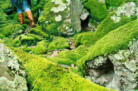 fairy mountain - Mossy large rocks in the forest and walking woman Stock Photo - Budget Royalty-Free & Subscription, Code: 400-05369311