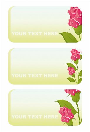 simsearch:400-04361173,k - set of 3 beautiful roses banners Stock Photo - Budget Royalty-Free & Subscription, Code: 400-05369497