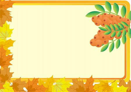 dried fruit falling - A business card with a yellow background, with bush fruits of mountain ash and autumn maple leaves Stock Photo - Budget Royalty-Free & Subscription, Code: 400-05369551