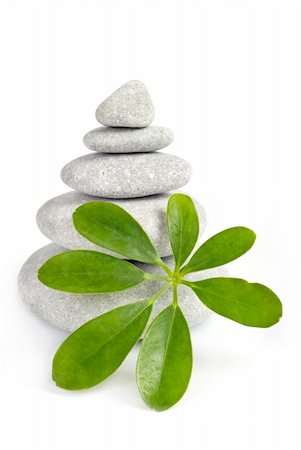 simsearch:400-05175967,k - Stones and tree on a white background Stock Photo - Budget Royalty-Free & Subscription, Code: 400-05360051