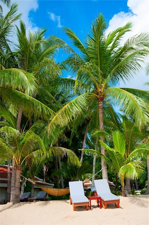 Beach chairs on tropical white sand beach Foto de stock - Royalty-Free Super Valor e Assinatura, Número: 400-05360062