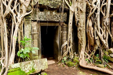 Ruins of the temples, Angkor Wat, Cambodia Foto de stock - Royalty-Free Super Valor e Assinatura, Número: 400-05360146